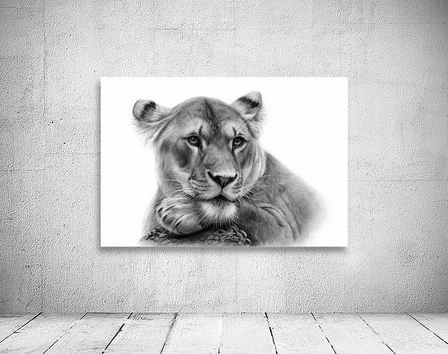 Lioness Wall Preview