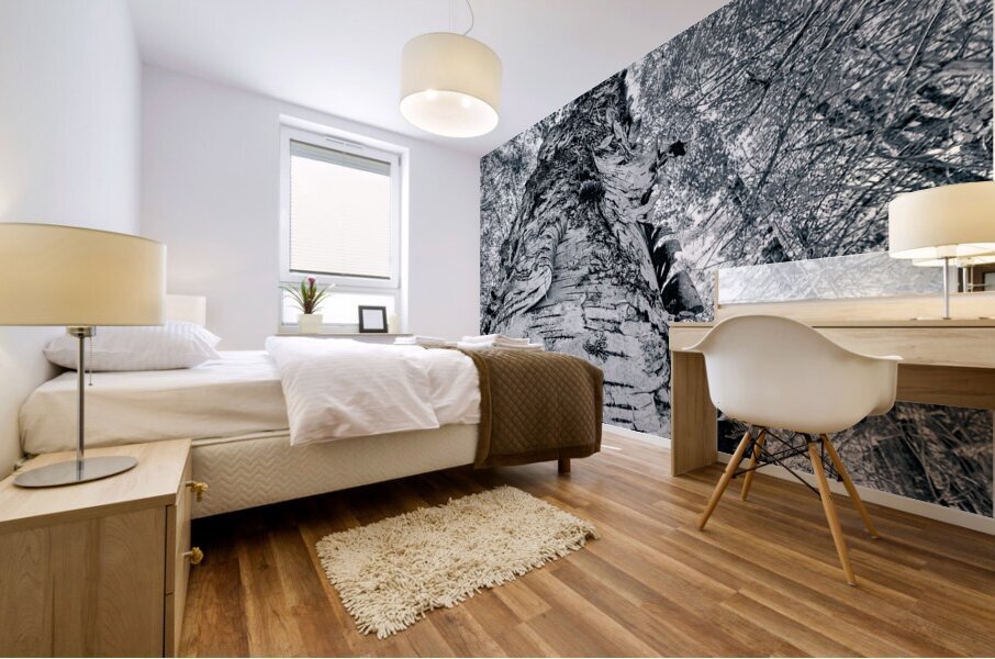 Tall Birch Mural print