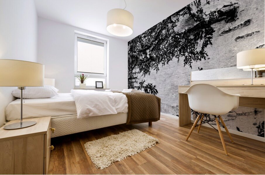 The Birch Bark  Mural print