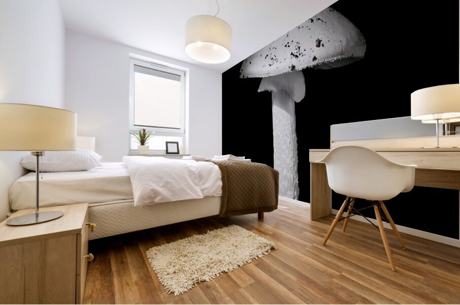 White Cap  Mural print