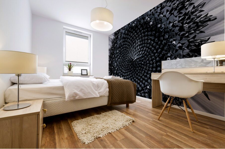 Spiraling Sun  Mural print