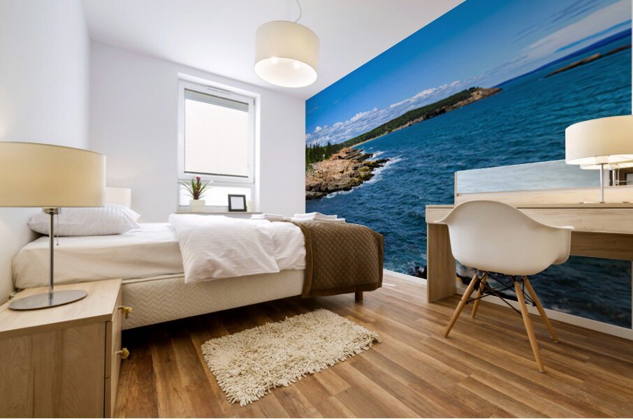 Ocean Trail Vista Mural print