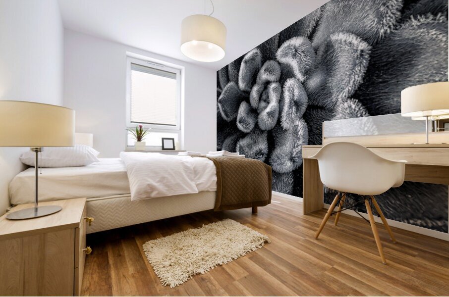 Mexican Firecracker Mural print