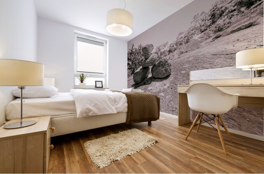 The Guide Mural print
