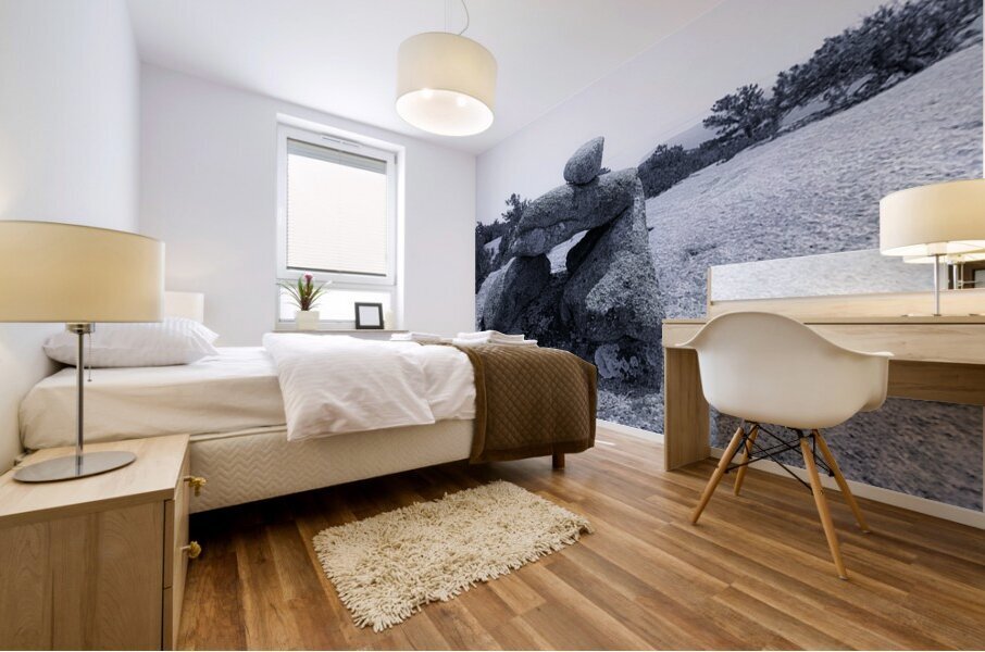 The Sentinel Mural print