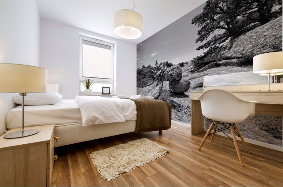 Endurance Mural print