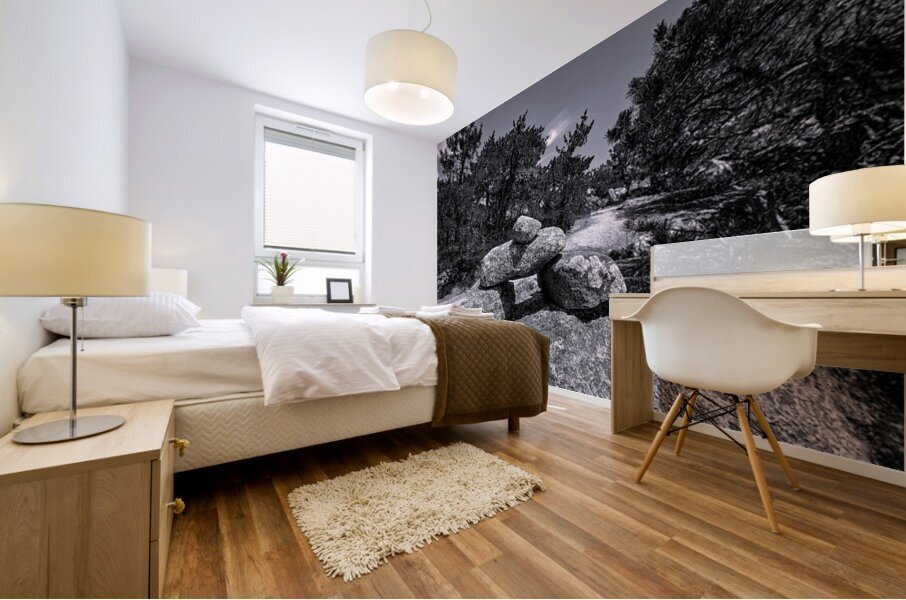 The Passage Mural print