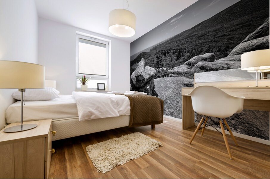 Poised Mural print