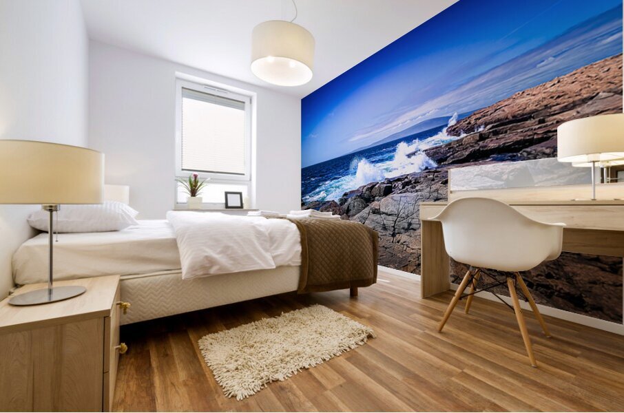 Ocean Spray Mural print