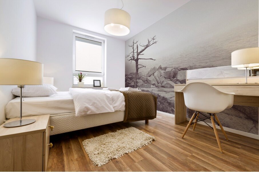 Weathered Mural print