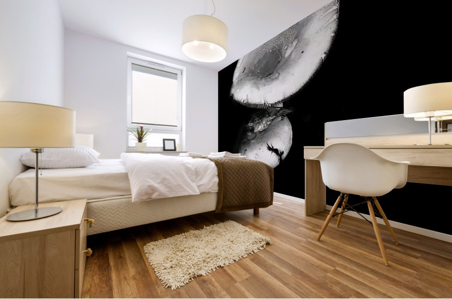 Reflecting Mushroom Mural print