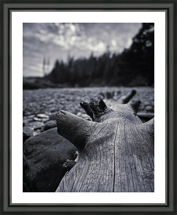 The Beached Log Impression et Cadre photo
