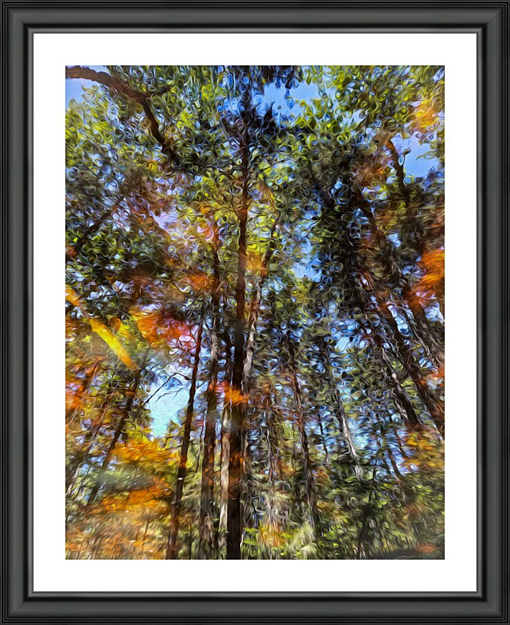Reflection Picture Frame print