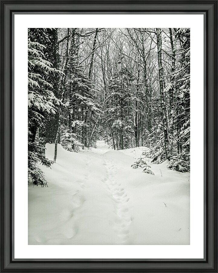 The Snow Path Picture Frame print