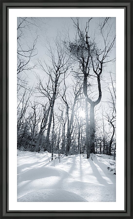 Winter s Sun Picture Frame print