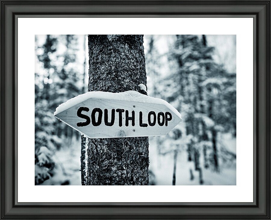 South Loop  Picture Frame print