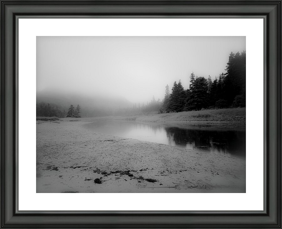 Fogged In Picture Frame print