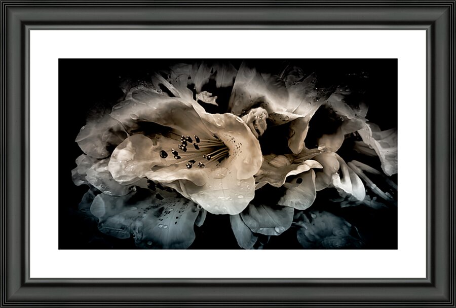Smoky Azaleas Picture Frame print