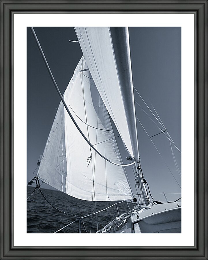 Sailing Picture Frame print