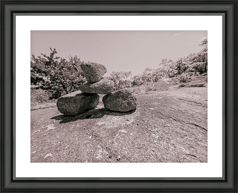 The Guide Picture Frame print