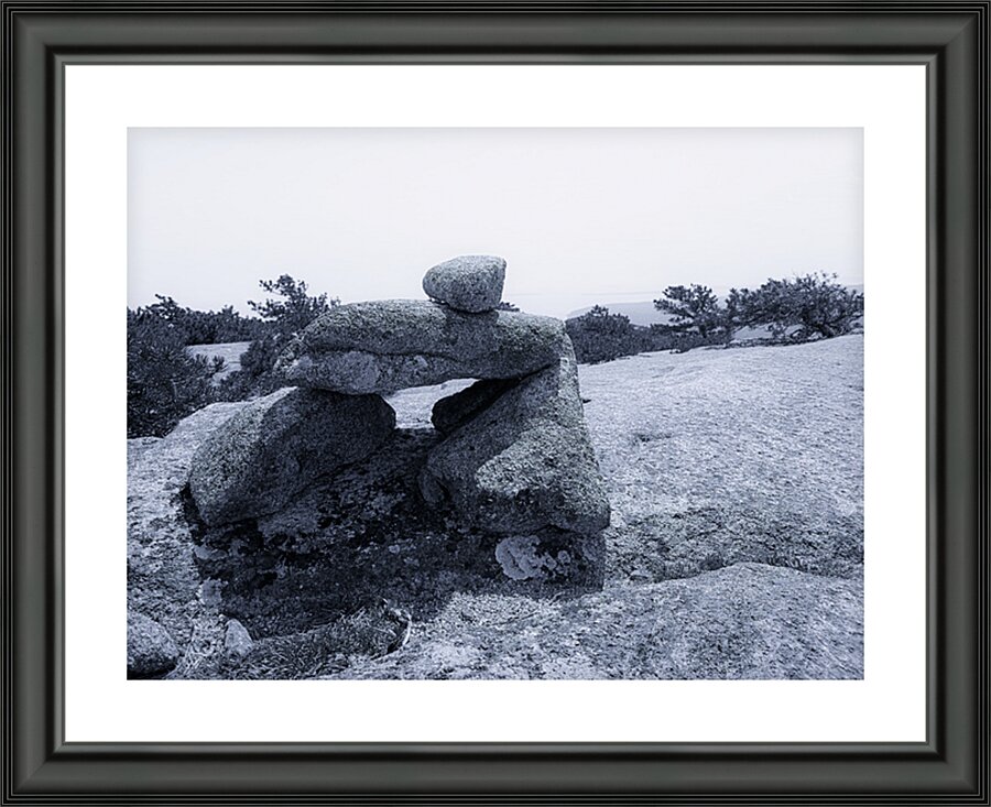 The Sentinel Picture Frame print
