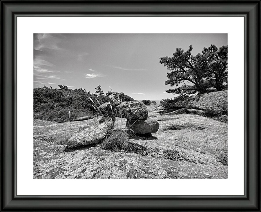 Endurance Picture Frame print