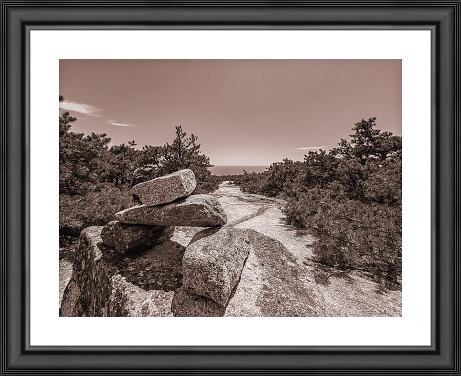 The Wayfinder Picture Frame print