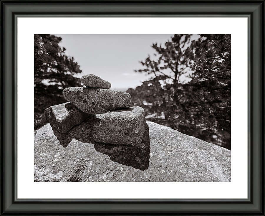 The Journey Picture Frame print