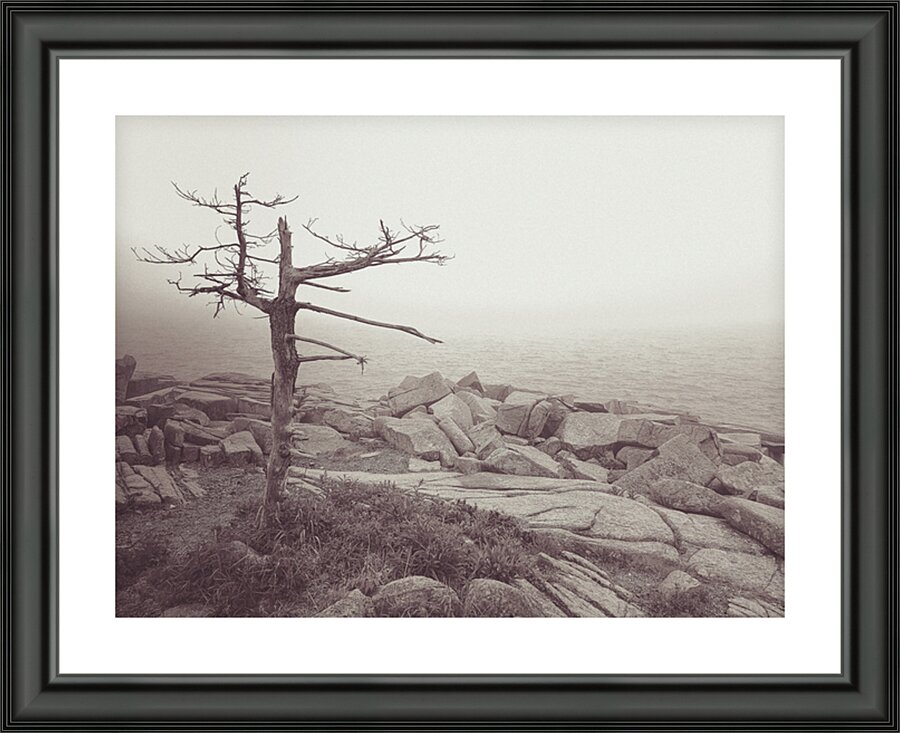 Weathered Picture Frame print