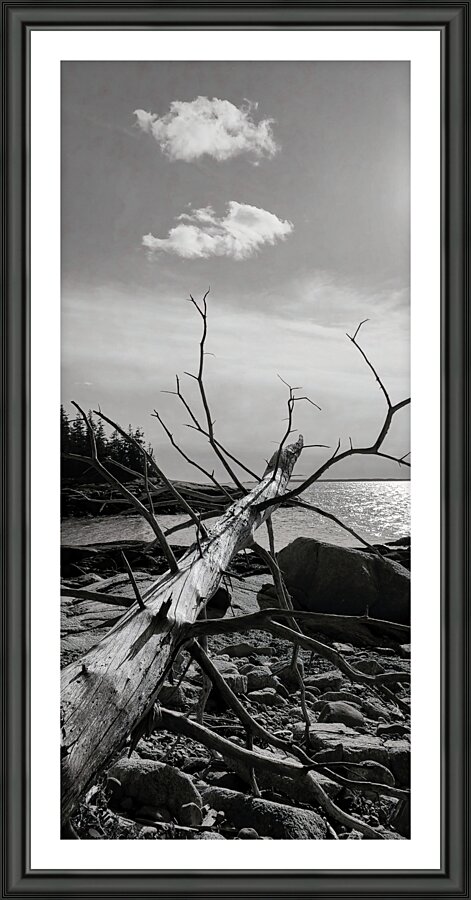 Fallen Picture Frame print