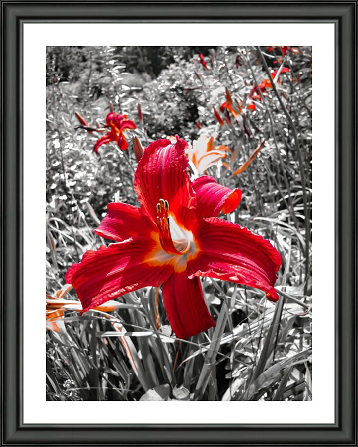 The Bloom Picture Frame print