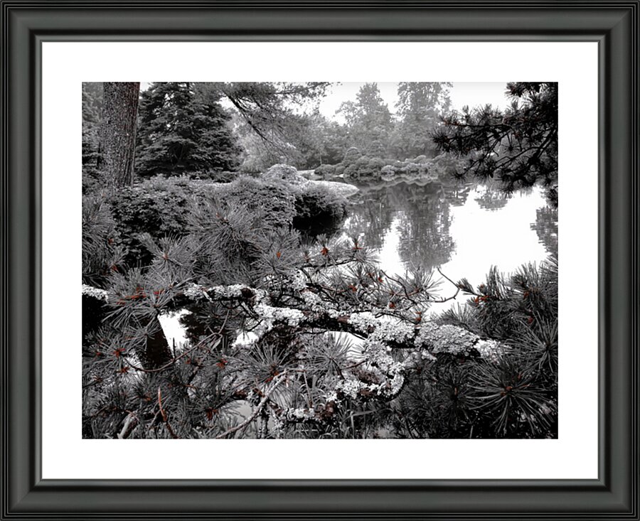 The Mossy Pines Picture Frame print