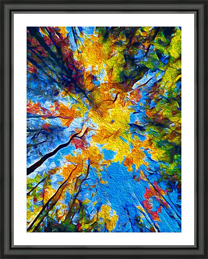 Lookin Up Picture Frame print