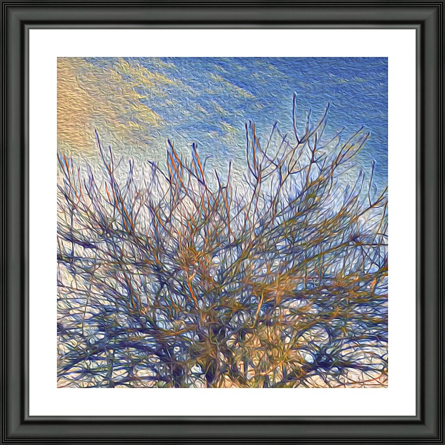 Branches In The Sky Picture Frame print
