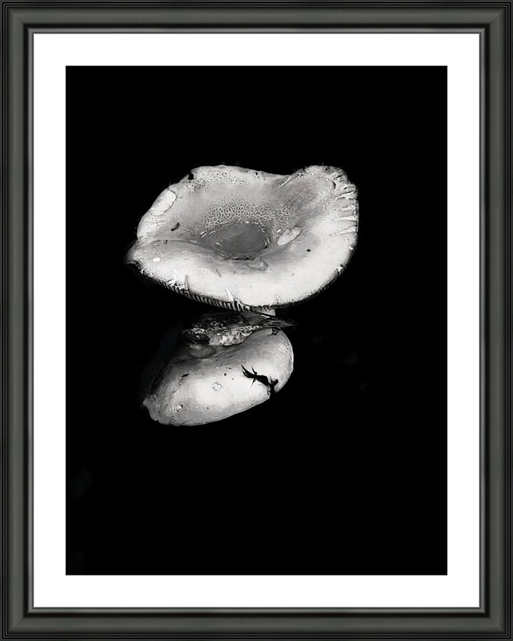 Reflecting Mushroom Picture Frame print