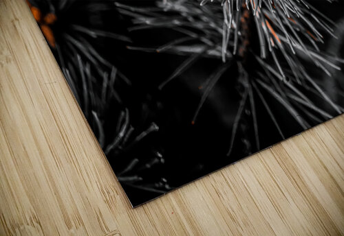 Rusted Pine Blaine Stoner puzzle