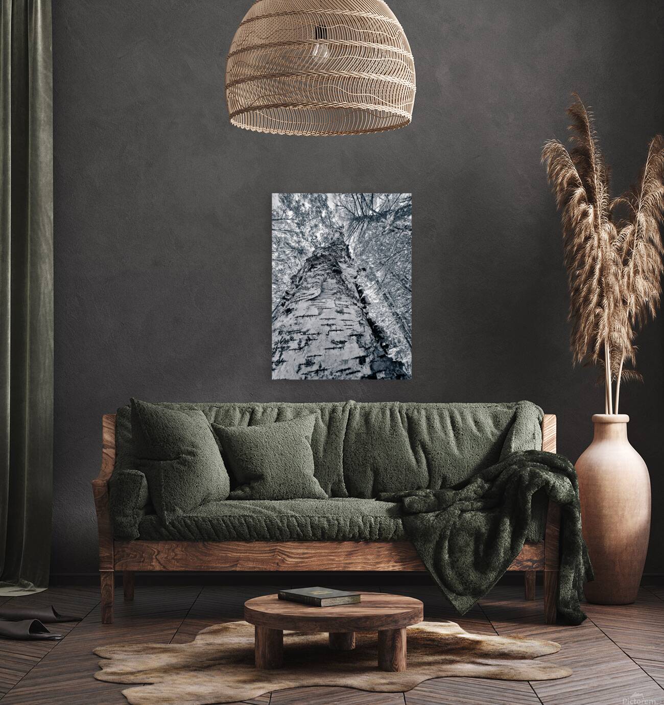 Tall Birch Reproduction