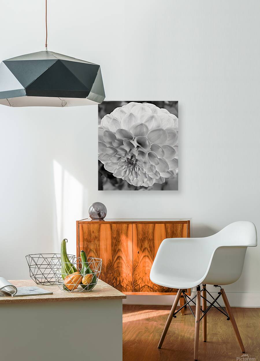 Glowing Petals Reproduction