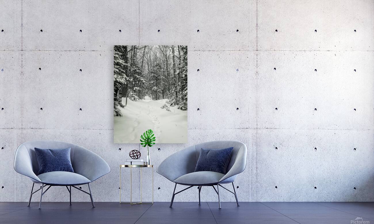 The Snow Path Reproduction