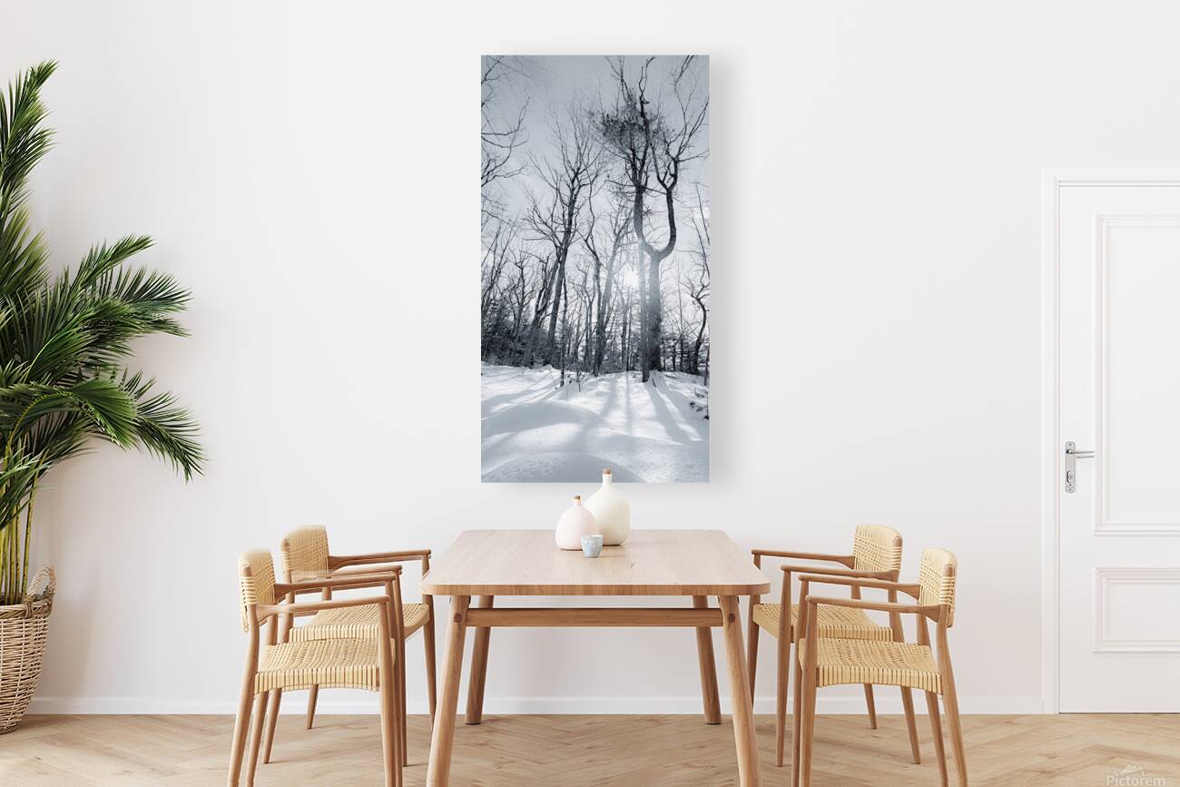 Winter s Sun Reproduction