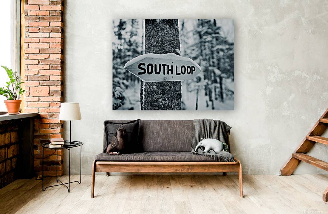 South Loop  Reproduction