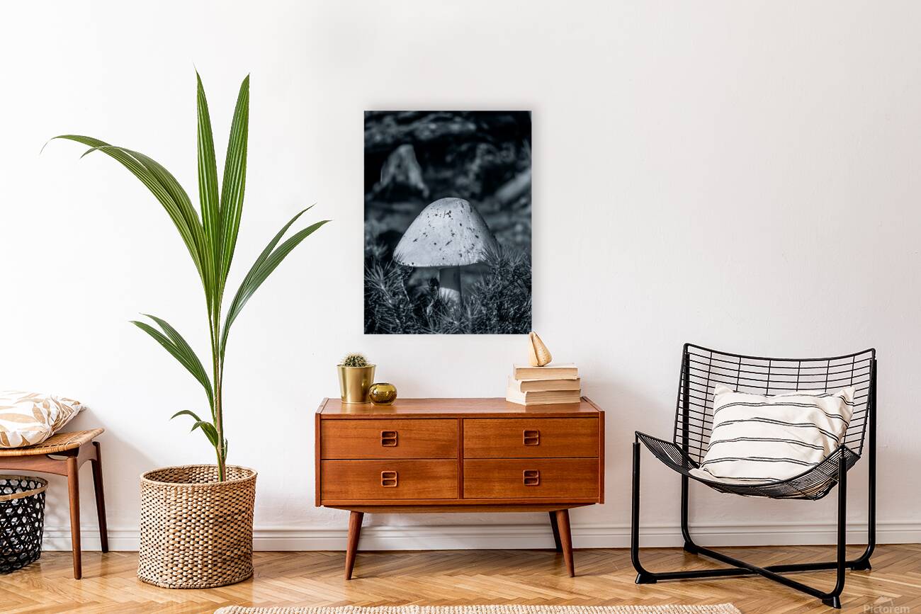 The Watcher Reproduction