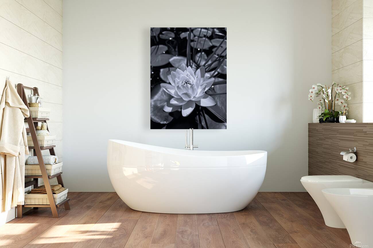 Silent Bloom  Reproduction