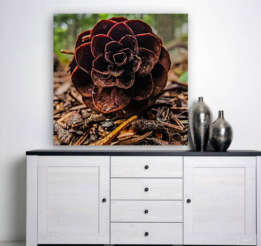 The Pine Cone  Reproduction