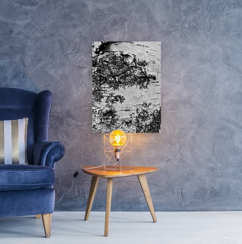 The Birch Bark  Reproduction