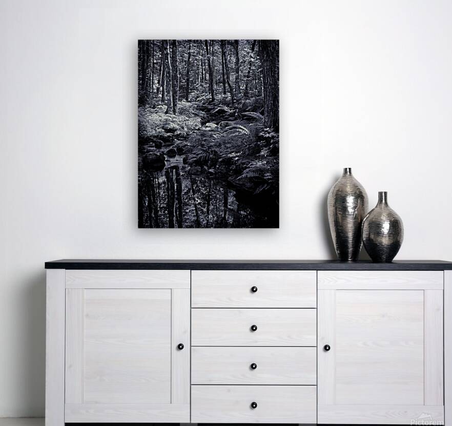 The Still Forest Reproduction