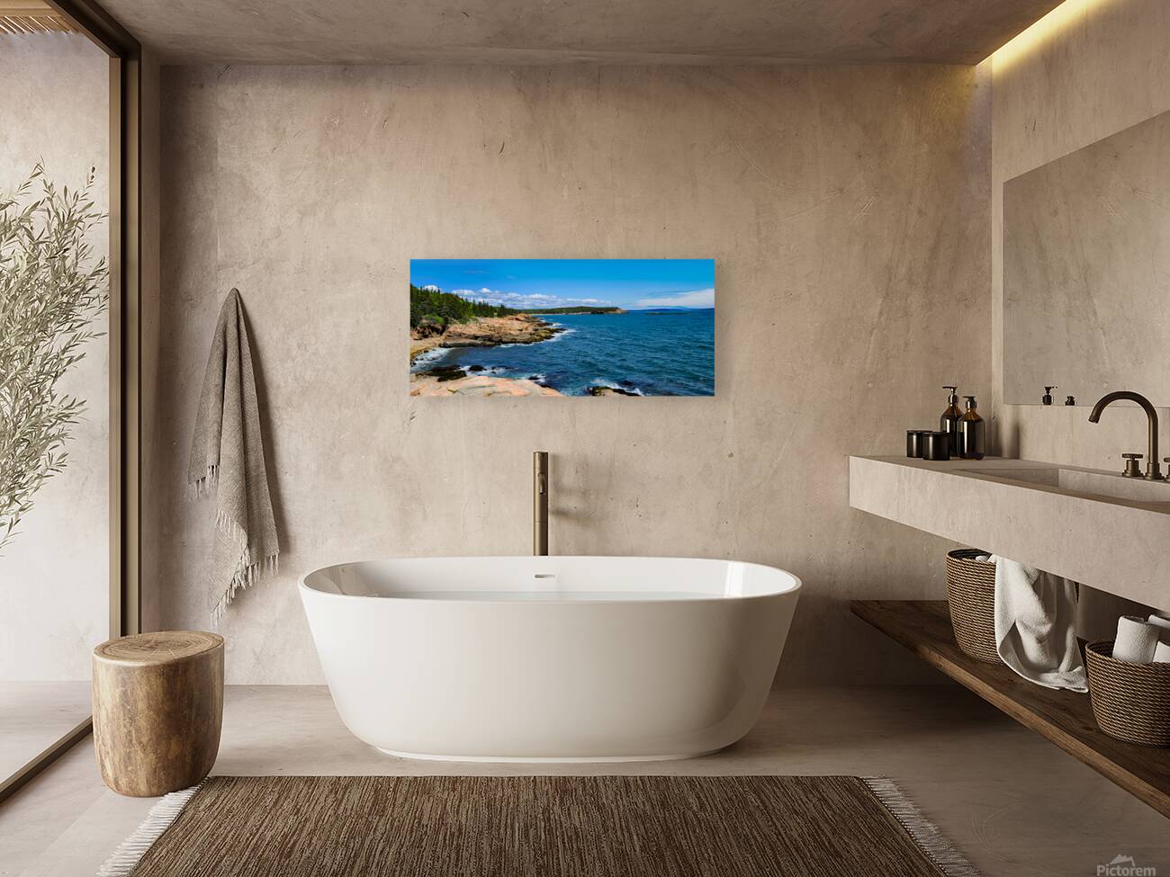 Ocean Trail Vista Reproduction