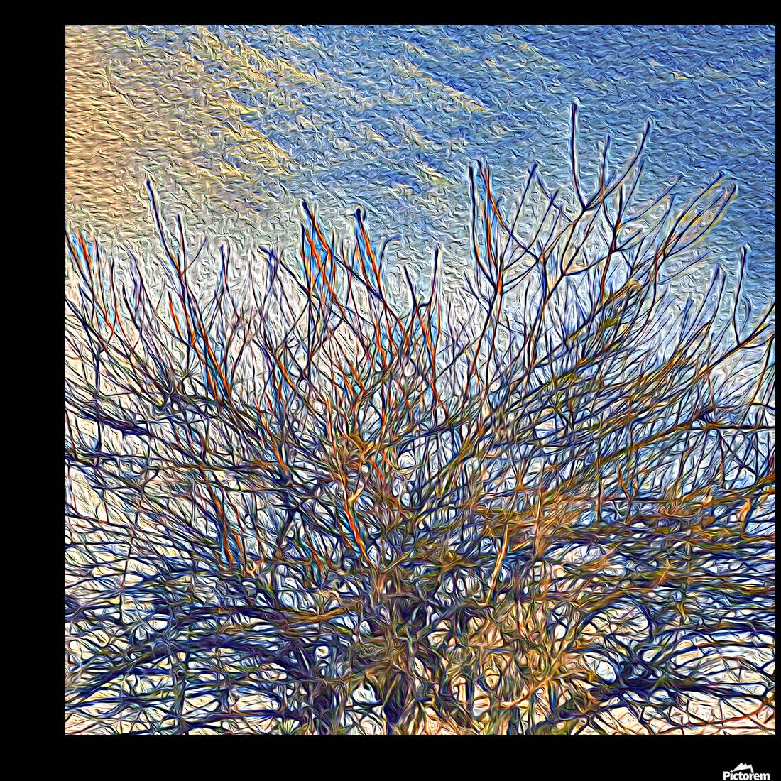 Branches In The Sky Reproduction