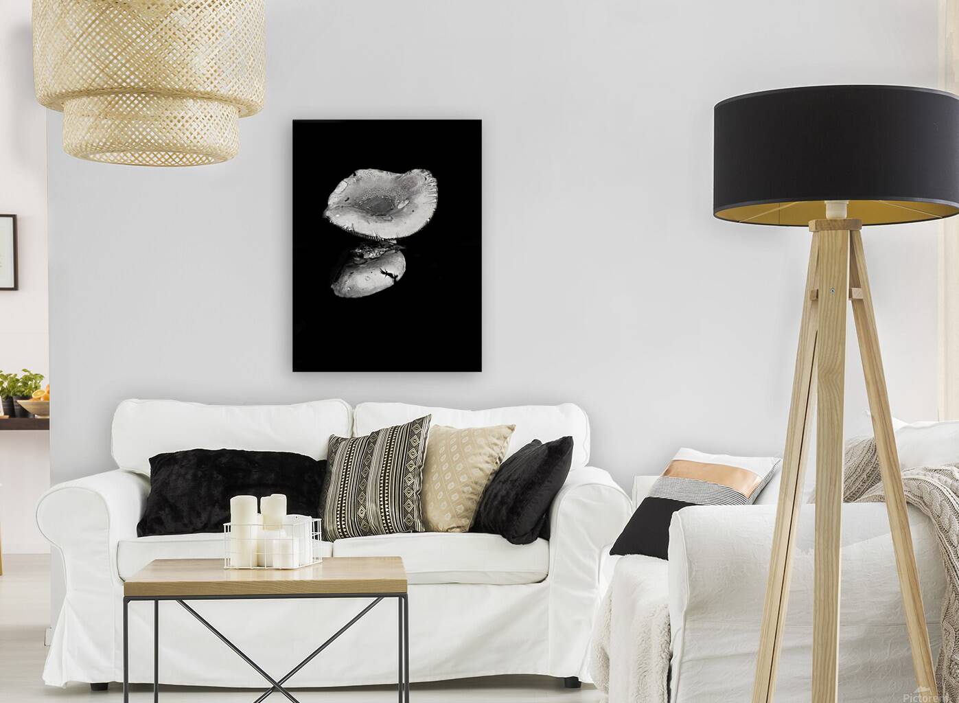 Reflecting Mushroom Reproduction