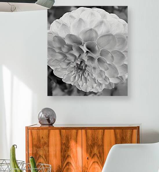 Glowing Petals by Blaine Stoner